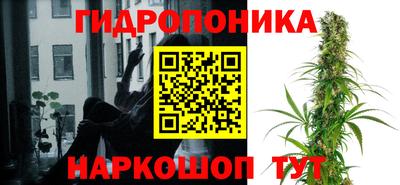 мяу мяу мука Жуковский