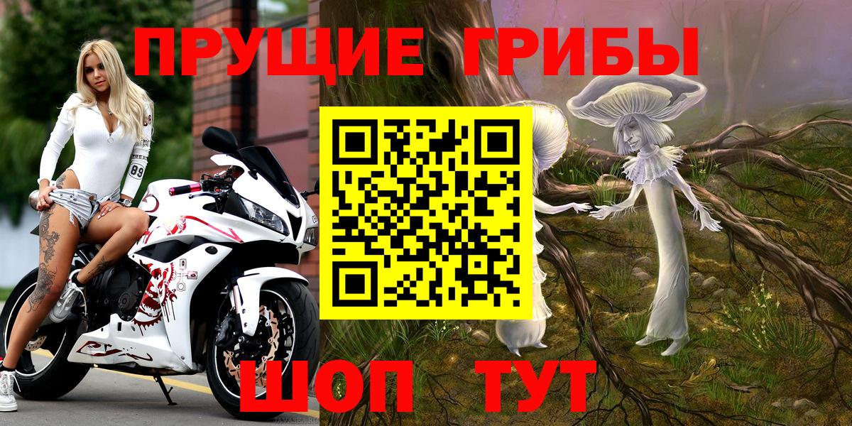 Железноводск  Псилоцибиновые грибы прущие грибы  Вход с VPN  Галлюциногенные грибы GOLDEN TEACHER 